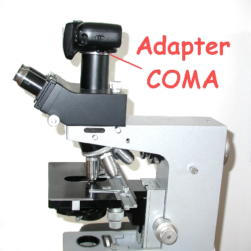 Adapter fotocamera SRL DSRLa microscopio LEICA ORTOPLAN