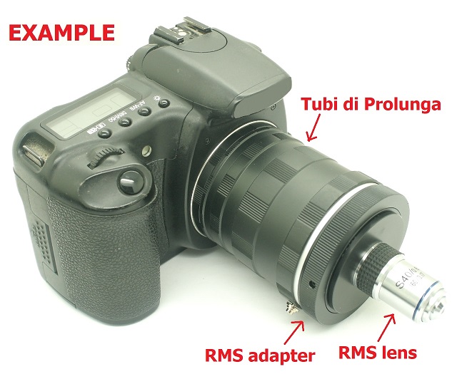 Adattatore foto ottiche microscopio RMS PHOTAR LUMINAR per CANON FD