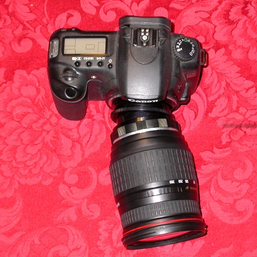 Canon EOS raccordo BASCULANTE macro per obiettivi Canon EF tilt lens adapter
