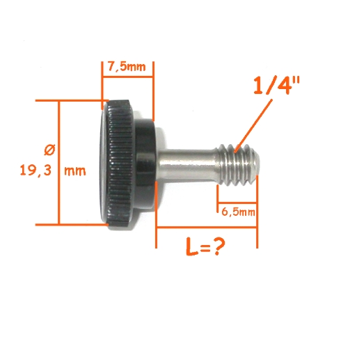 Pomello , manopola vite di serraggio INOX 1/4 pollice scaricata