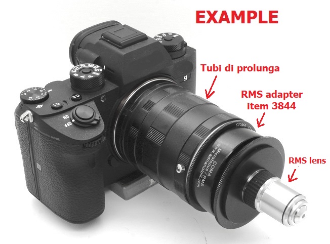 Adattatore MICROFOCUS ottiche microscopio RMS ø20 per Canon, Nikon, Pentax .... 