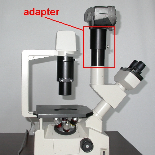 Terminale foto a rapporto d`ingrandimento variabile per microscopio NIKON TMS