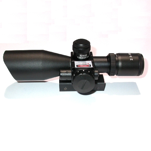 Cannocchiale riflescope zoom compatto con puntatore laser per armi 2,5-10 X 40