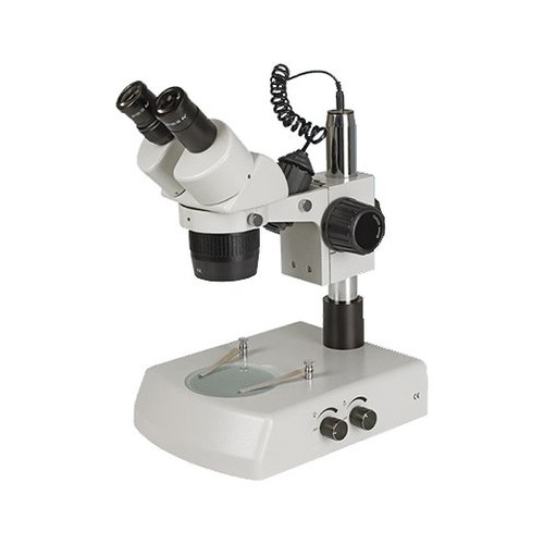 Celestron Stereo StereoMicroscopio binoculare con luce ST60-24B2 microscope