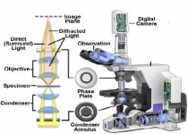 MICROSCOPY