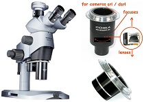 PHOTO VIDEO ADAPTERS FOR STEREOSCOPIC MICROSCOPES