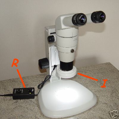 NIKON SMZ 800 illuminatore per microscopio luce fredda