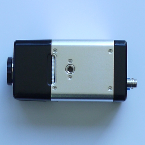 Telecamera analogica C-MOUNT 1/3'' digitale CCD alta risoluzione colore & B/W