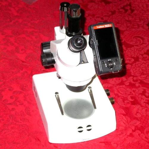 Sony NEX E mount RACCORDO diretto 30 mm per FOTO MICROSCOPIO microscope