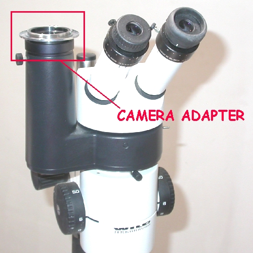 Raccordo fotografico per microscopio stereo WILD - LEICA  diametro 38mm