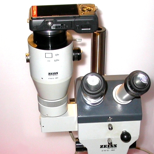 Raccordo fotografico per microscopio ZEISS 9901 a fotocamera digitale Sony NEX