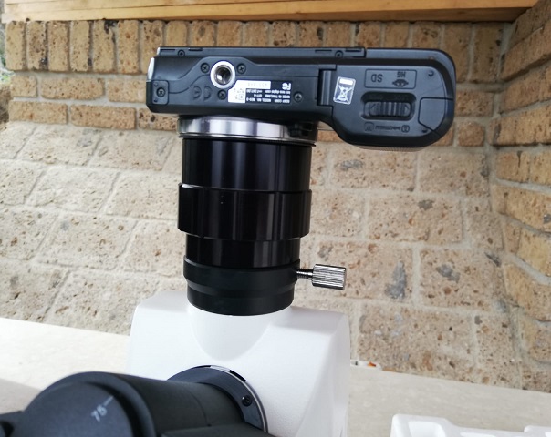 Obbiettivo microscopio LEICA GERMANY ∞ / -  N PLAN 50x / 0.95 OIL