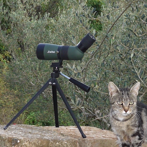 Cannocchiale portatile zoom 10-30x50 con cavalletto, spotting scope, Fieldscope