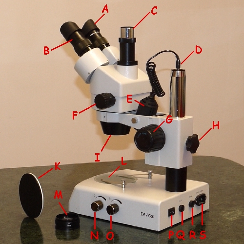 Microscopio trioculare StereoStereoscopio ZOOM con raccordo foto/video TRILUS