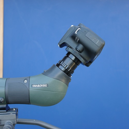 Swarovski Adattatore  per fotocamere Nikon o Canon o Pentax o Sony, ecc